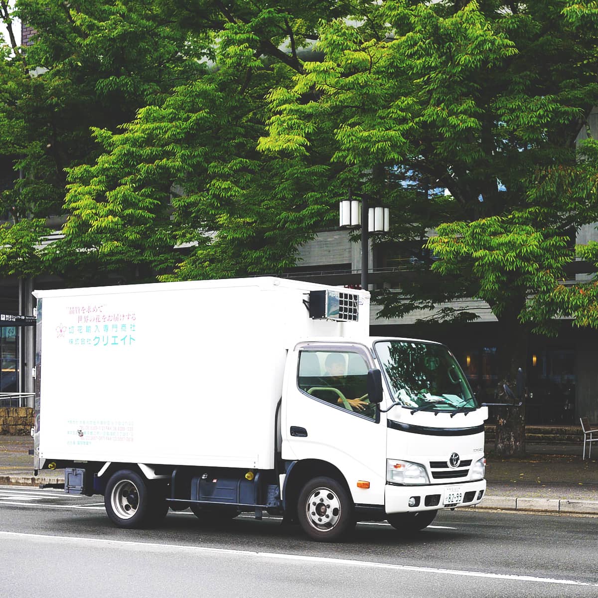 輸入切花の専門商社クリエイトについて